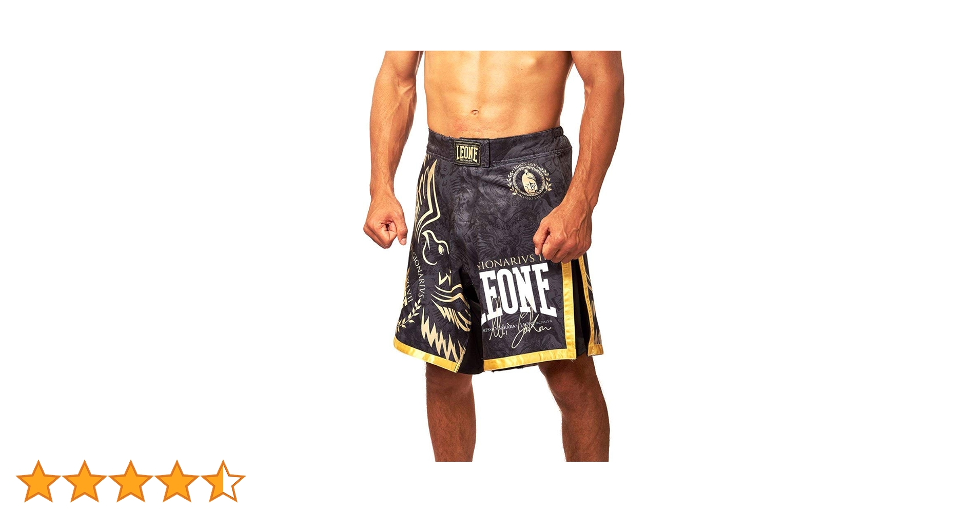 LEONE ファイトショーツ LEONE レオーネ キックパンツ L ボクシング ファイトショーツ